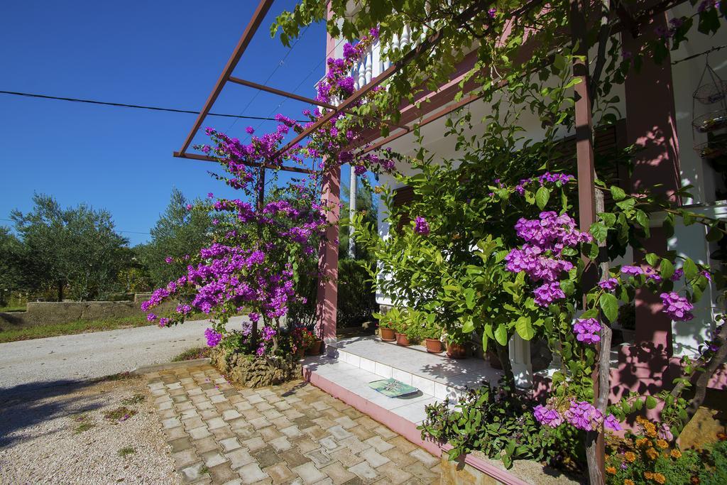 Apartments Zile Starigrad Paklenica Exterior foto